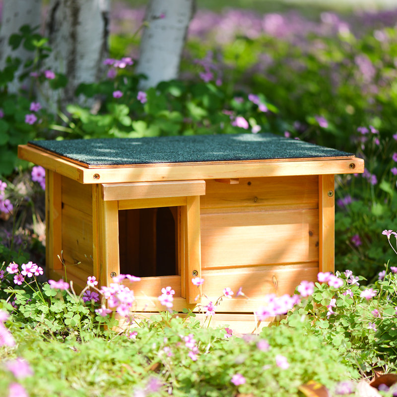 Teri Weather Resistant Small Animal Hutch