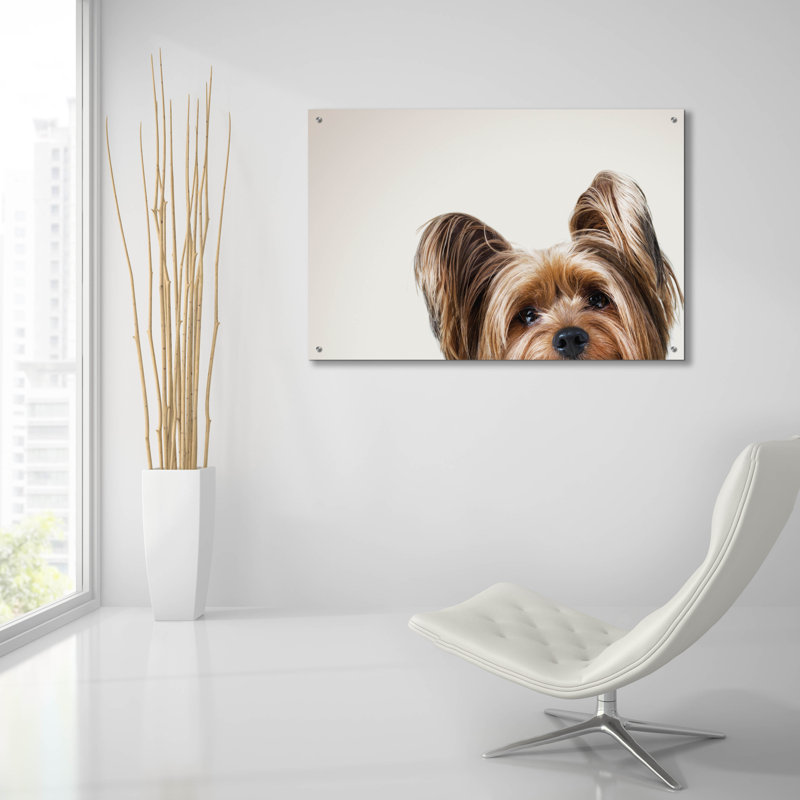 " Jeri " by Susan Sabo, 24" H x 36" W x 0.2" D