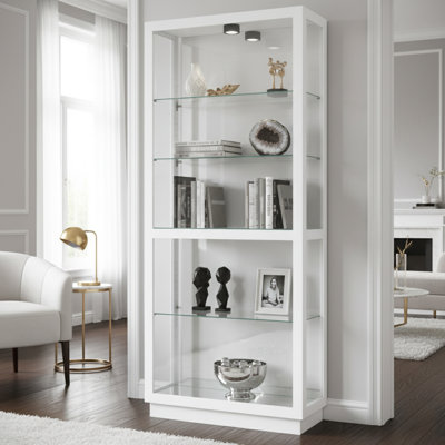 Jeliel Lighted Glass Curio Cabinet with Adjustable Shelves