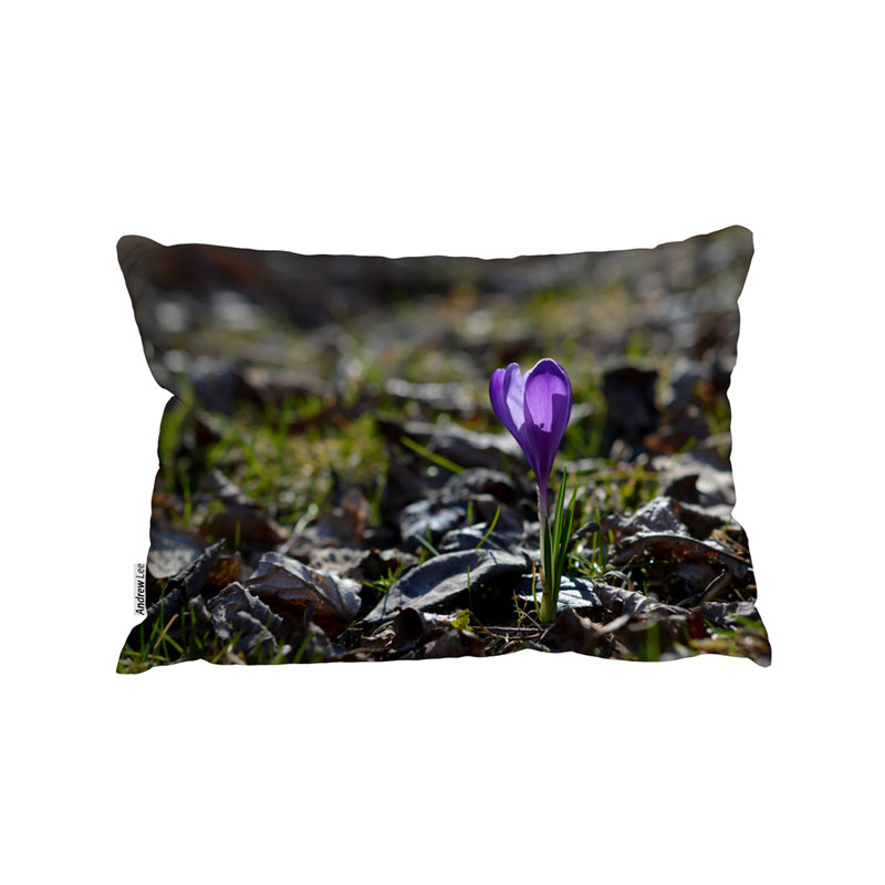 Indoor / Outdoor Rectangular Lumbar Cushion