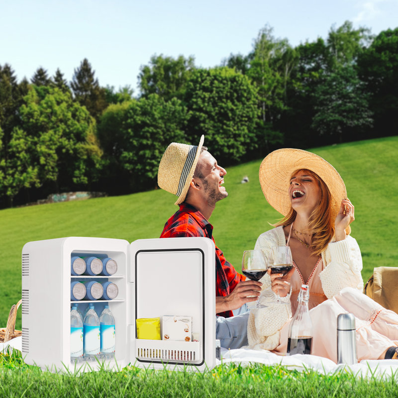 PULUOMIS Mini Fridge 10m³ L Mini Fridge with Freezer, 10L, White