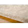 Oriental Indoor Rug