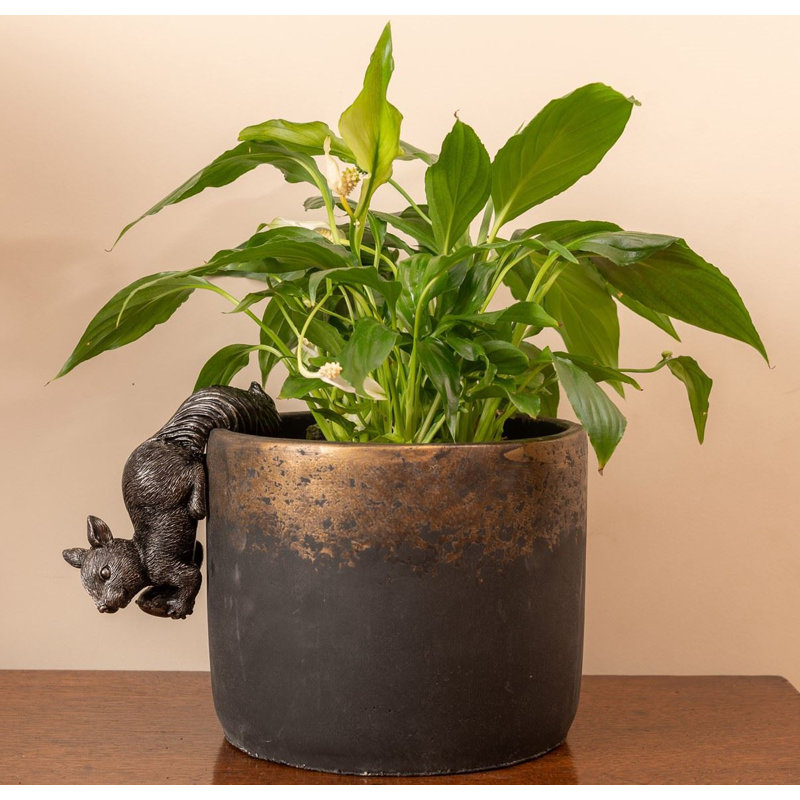 Bonin Animals UV Resistant Stone Garden Statue