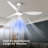 (set Of 2) 52" Blade Led Propeller Ceiling Fan With Remote Control-750496124