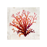 Pomegranate Coral II Print by Sofia Fox