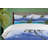 No Duvet Cover