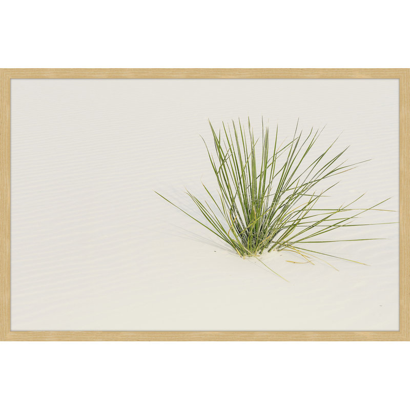Unexpected Life - Single Picture Frame Print, 30 cm H x 46 cm W