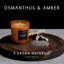 Osmanthus & Amber Scented Jar Candle with Glass Holder