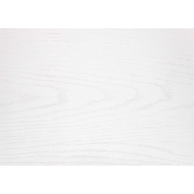 Ensemble de 2 chaises d'appoint en bois de style décontracté, Blanc