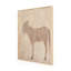 Burro Marron Painting by Paul Meyer-2135205443