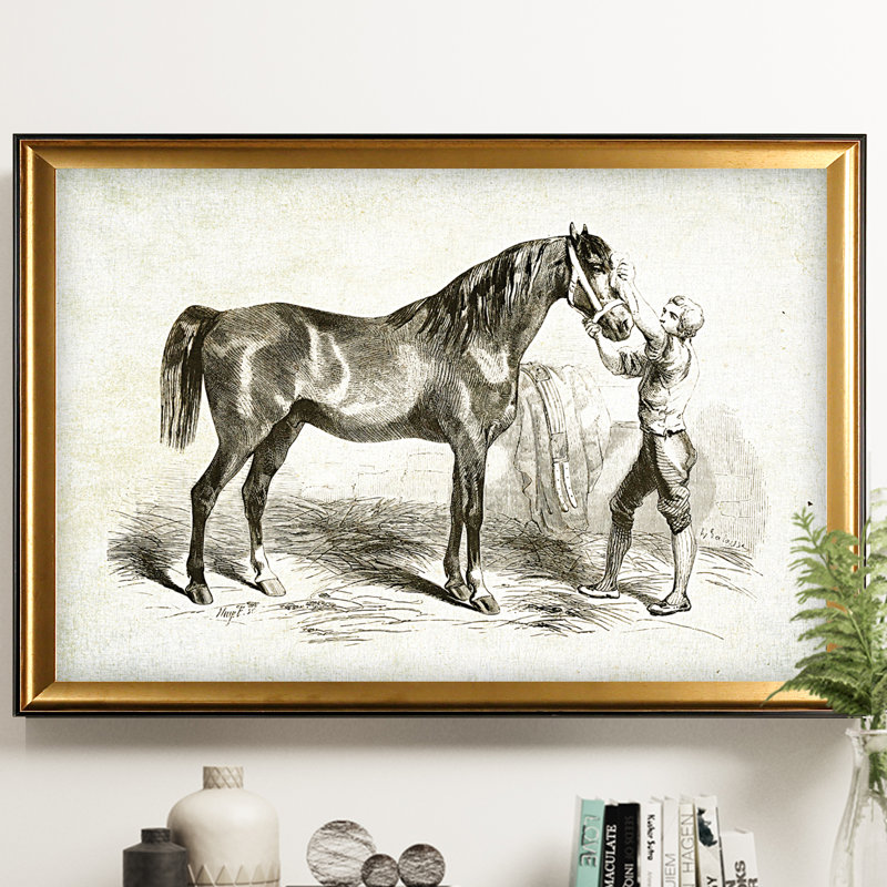 « équin sketch v », impression, H 27 po x l 39 po x P 2 po, Cadre noir, Pas de tapis