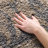 Chaffin Shag Performance Floral Rug-258572876