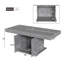 Balyeet Extendable Dining Table-122141423