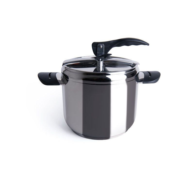 Excelsa Professional Stainless Steel Pressure Cooker, 28 cm H x 22 cm W x 22 cm D