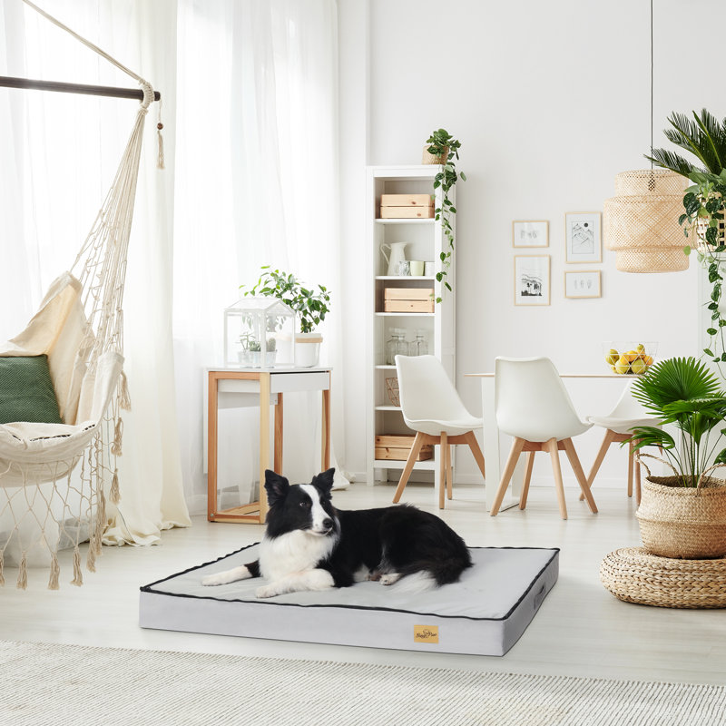 Orthopedic Dog Bed Pet Crate Mattress , 10cm H x 110cm W x 85cm D
