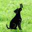 Piquet de jardin 20 po H