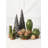 Shonnard Ceramic Table Vase