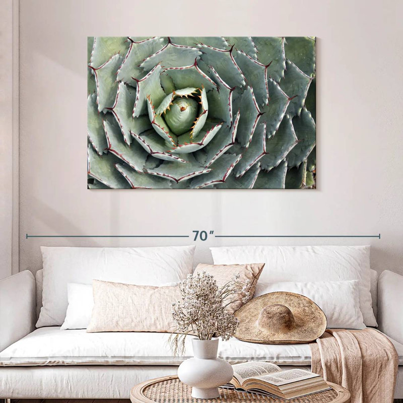 Harnek Thorny Succulent, 30" H x 45" W