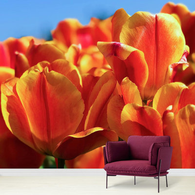 Floral Border