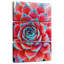Harnek Crimson Succulents-108662112