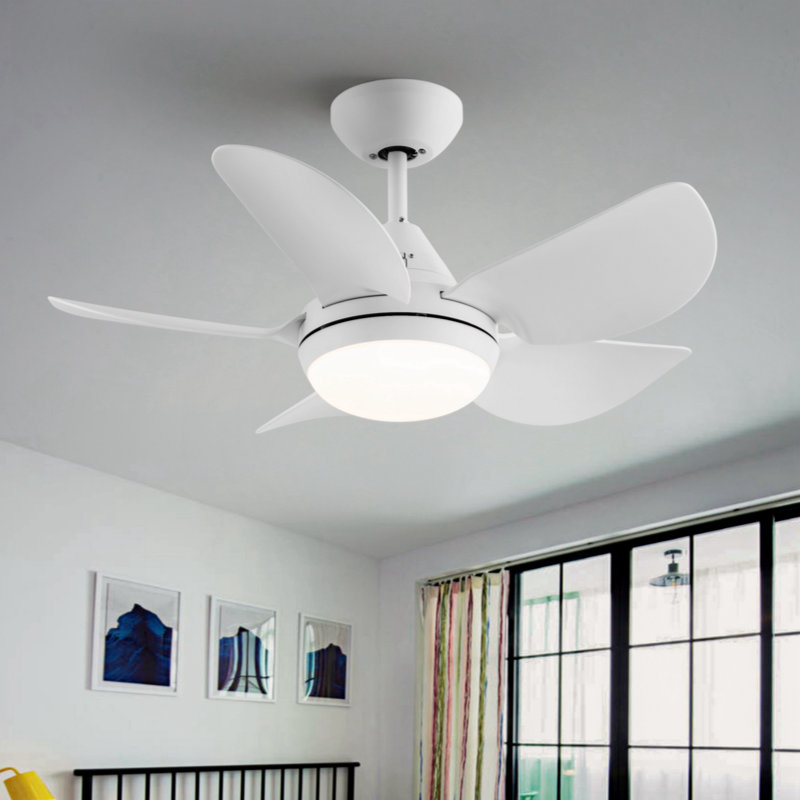 Small-CF 30''  5 - Blade LED Standard Ceiling Fan with Remote Control and Light Kit Included, White