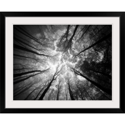 Straub Photographic Print