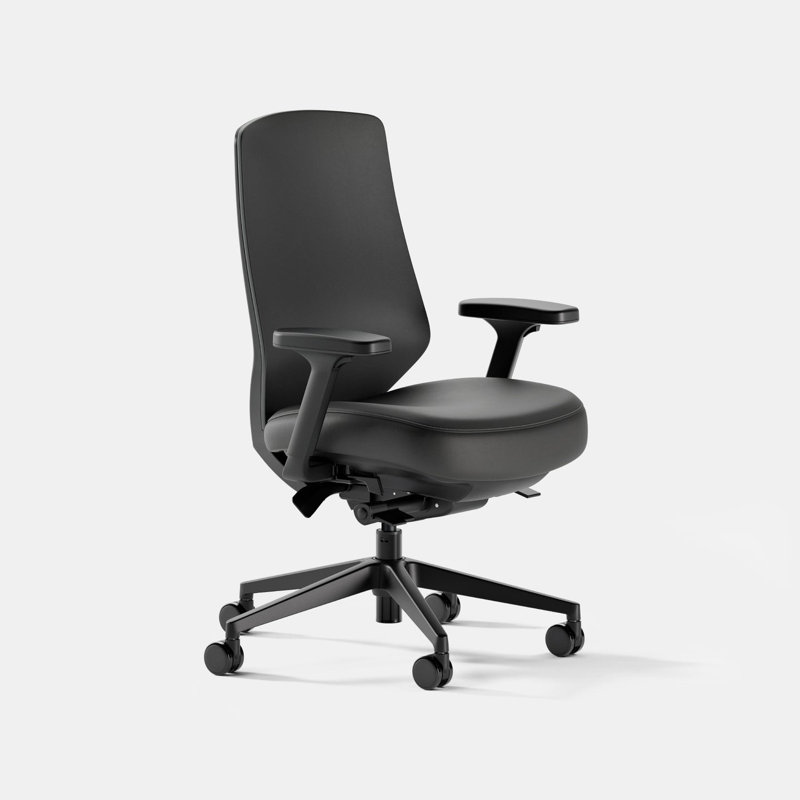 Ergonomic Chair Pro, Black, Black
