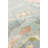 Oriental Indoor Rug