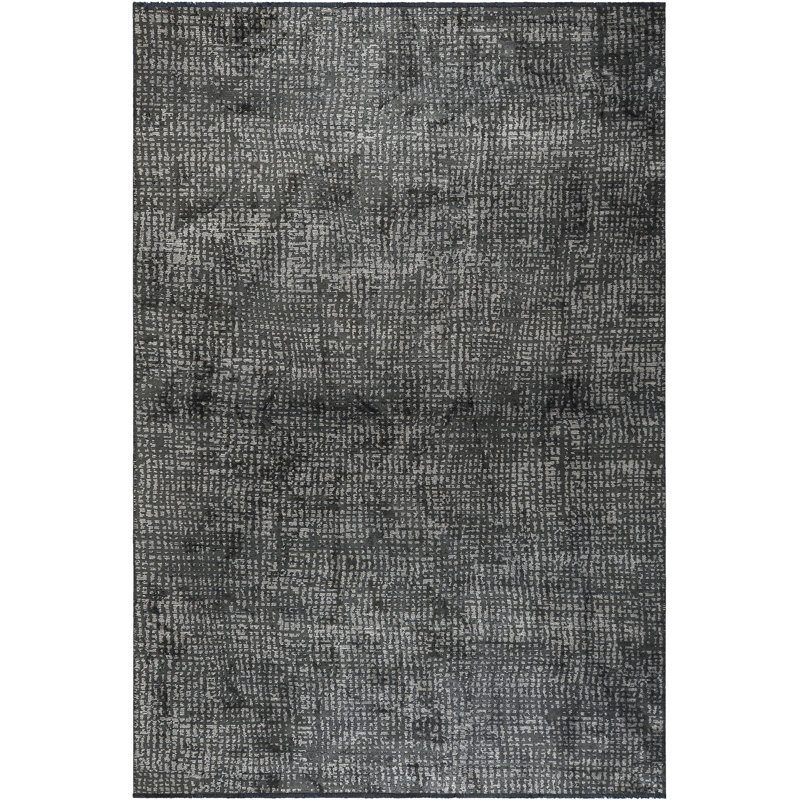 Tapis gris anthracite / beige Rapture, Rectangle 7 pi 10 po x 9 pi 10 po