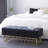 Loya Velvet Upholstered Bench