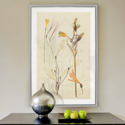 « antique botanique esquissé vi »-impression sur toile