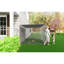 Enclos pour poulailler 13 x 8 x 6,5 pi pour cour, filet, porte verrouillable, protection étendue et imperméable, poulailler à structure en métal galvanisé, verrou automatique de 13 x 8 x 6,5 pi, couvercle, avec traitement antirouille