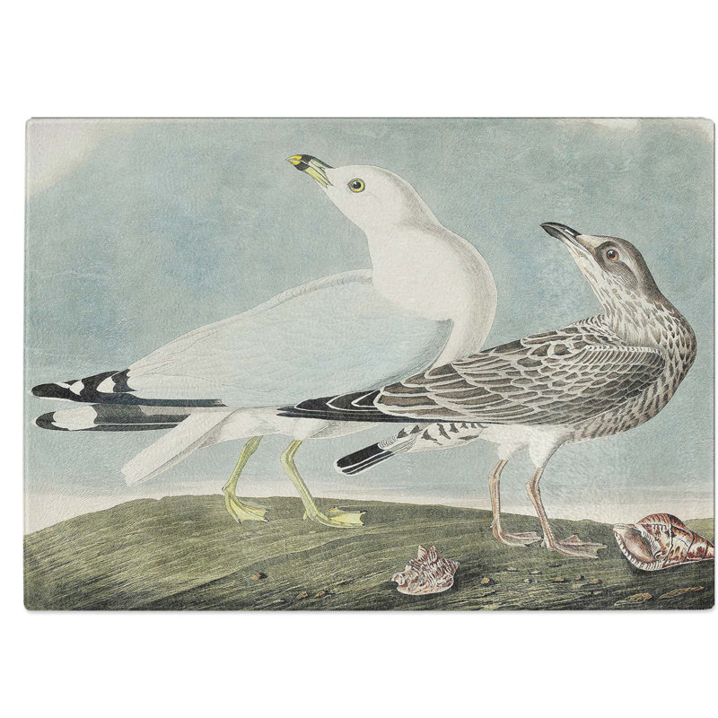 Tempered Glass Common American Gulls Chopping Board, 39 cm W x 28.5 cm L