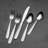Jordan 20 Piece Everyday Flatware Set