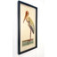 «Crane», impression encadrée sur papier