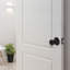 Bouton de porte d'entrée Tulip-80394043-7224867