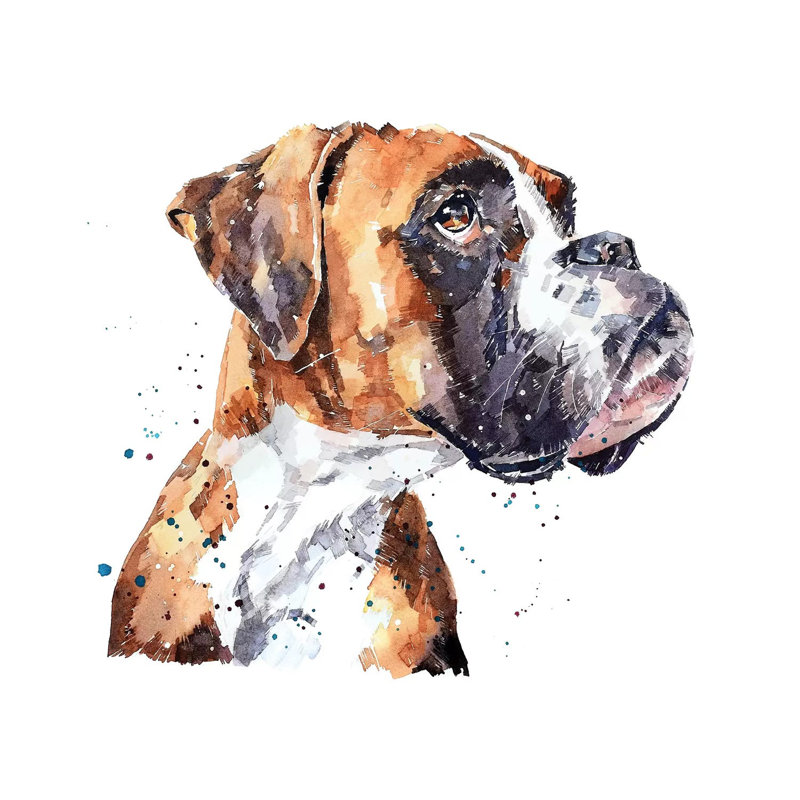 « German boxer » par Edwatercolours-impression, Pas de tapis, H 26 po x l 26 po x P 1,5 po, Toile tendue