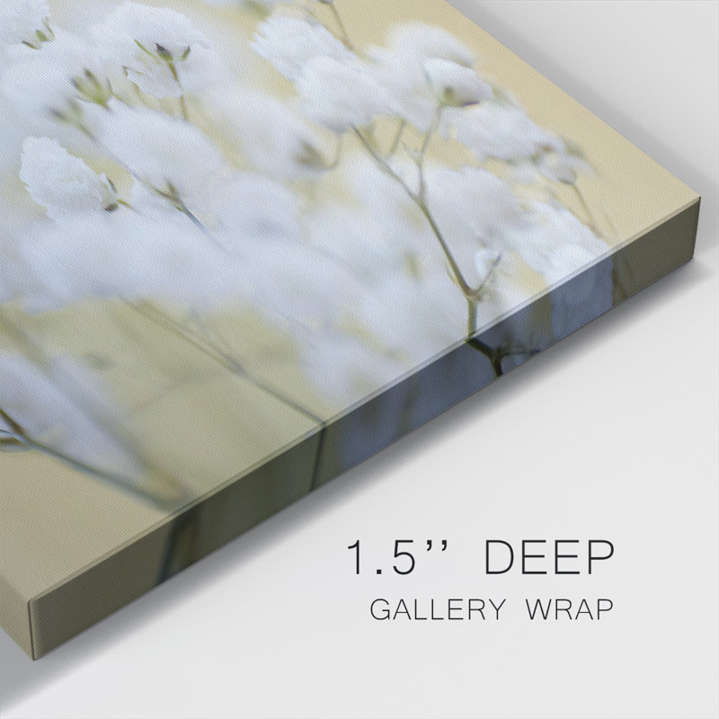 Baby's Breath Study III-Gallery Wrapped Canvas, H 8 po x l 8 po