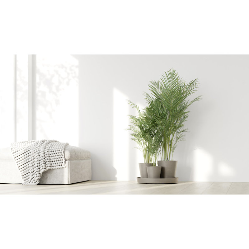Pot Planter, Taupe