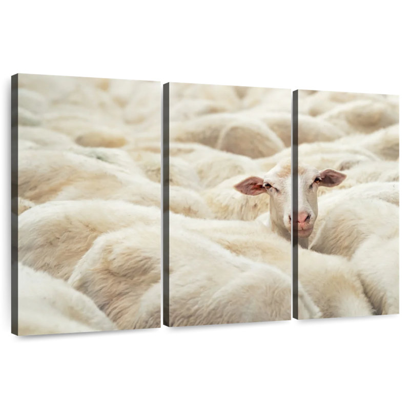 Brampt Curious Sheep, 48" H x 74" W