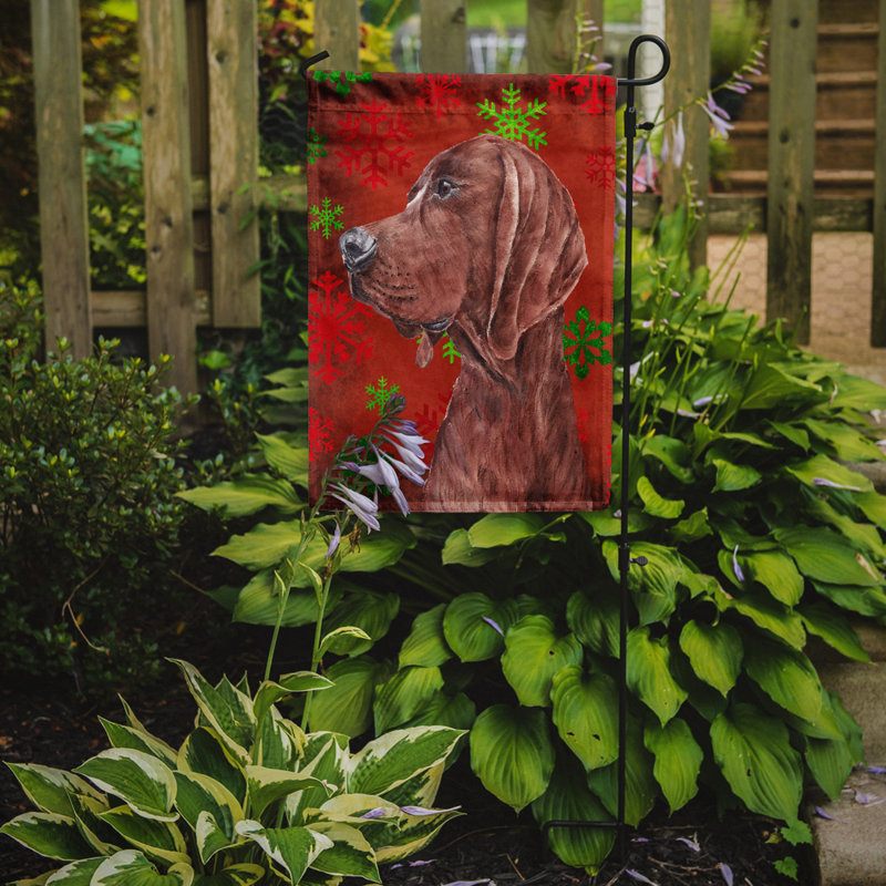 Drapeau rouge et vert Vart, Coonhound (brun)
