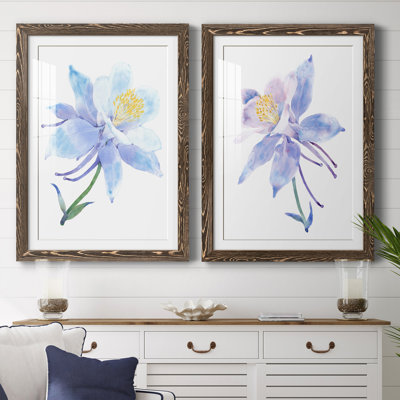 " Columbine Bloom I " 2 - Pieces Painting Print