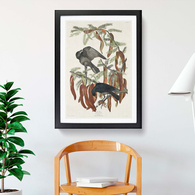 Fish Crows by John James Audubon - Picture Frame Art Print, Black Framed, 48cm H x 36cm W x 2cm D