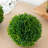 S/6 D4" Faux Boxwood Ball Bowl Filler,Green