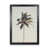 Black Framed