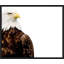 Eagle's Watch Print by Thom Filicia