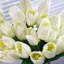 Arrangement floral de tulipes dans un vase-292480283