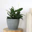Pot à fleurs en résine Abiella-2041271874-2044289155-2073156556