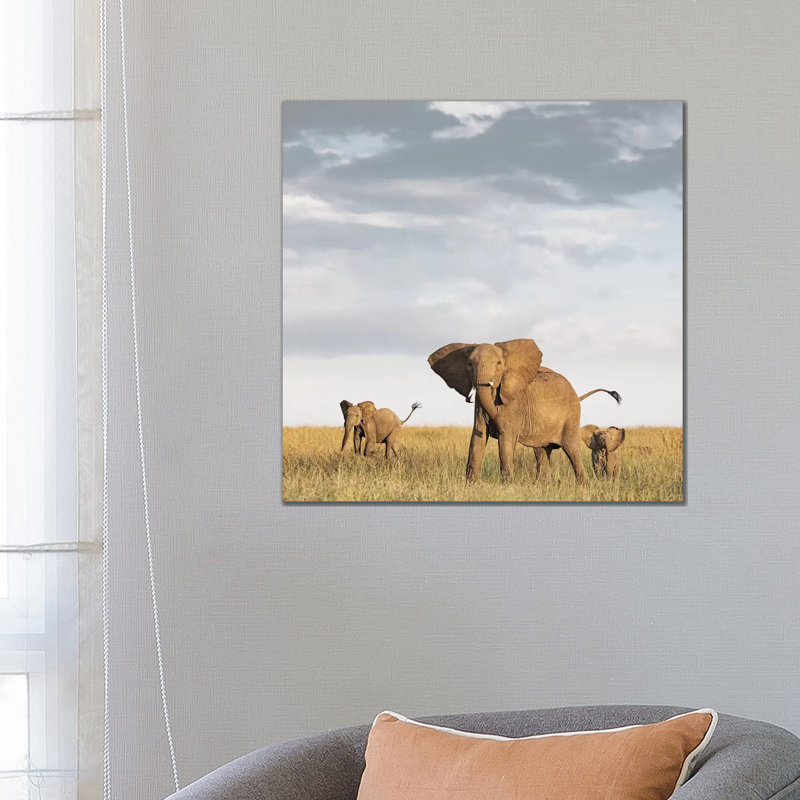 Colour Elephant & Calves by Klaus Tiedge - Print on Canvas, 66.04 cm H x 66.04 cm W x 1.91 cm D, Wrapped Canvas