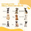 Foldable Wooden Pet Gate with 3 Panels 2 Support Feet for Small Dogs